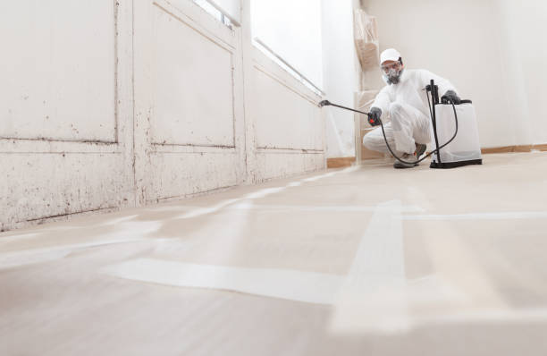 24/7 Emergency Commercial Mold Remediation experts in Rawlings, VA